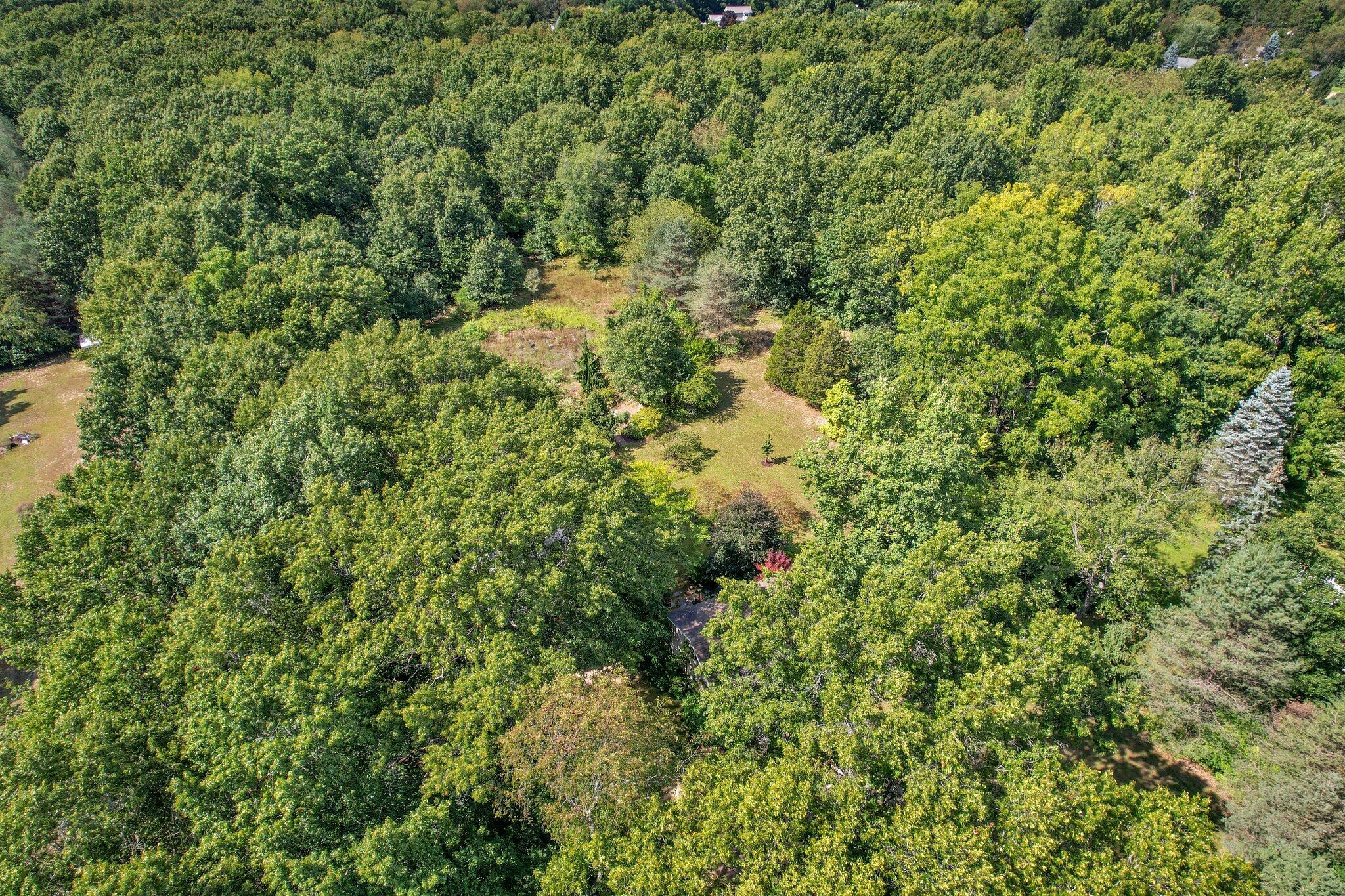 15510 Webster Road Bath, MI 48808 - Photo 49 of 51 12-web-or-mls-Open Ended Media-12