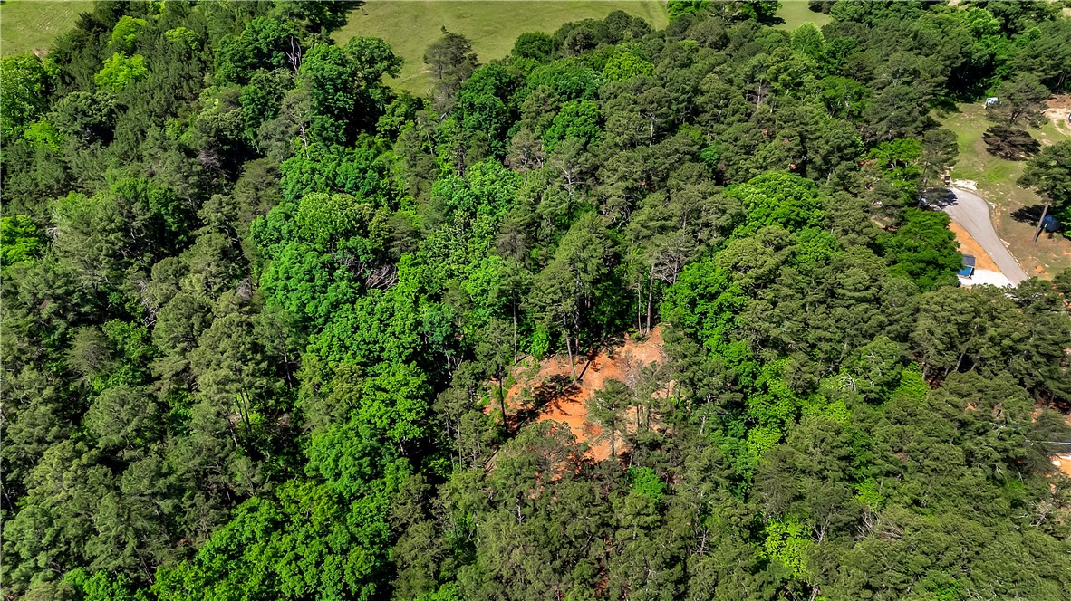 13.14-acres White Oak Road Central, SC 29630 - Photo 5 of 15