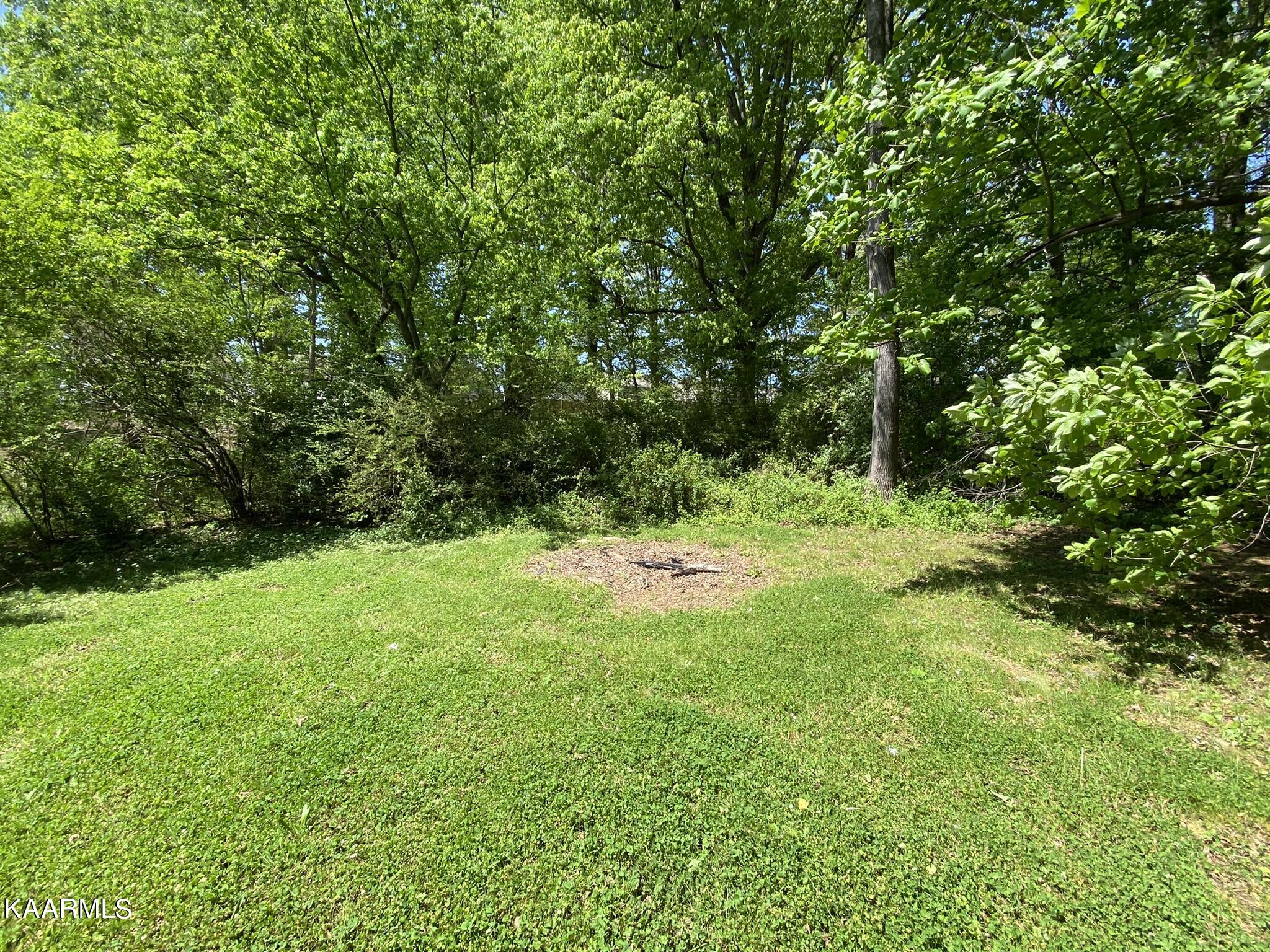 226 County Farm Road Friendsville, TN 37737 - Photo 11 of 27 Back Yard