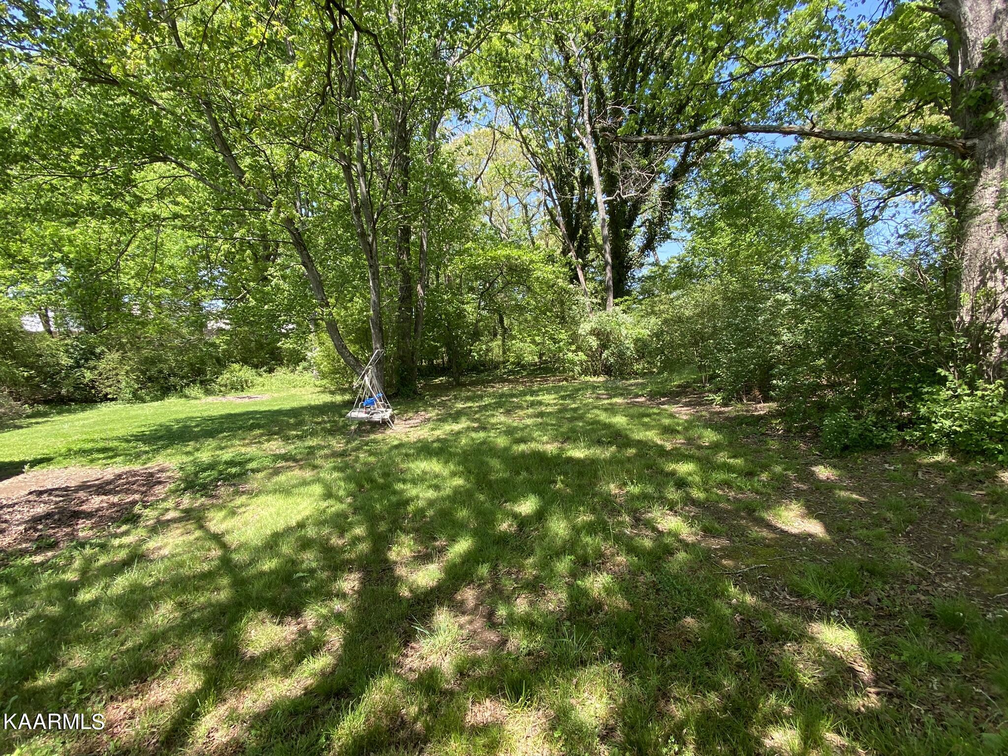 226 County Farm Road Friendsville, TN 37737 - Photo 8 of 27 Large Back Yard
