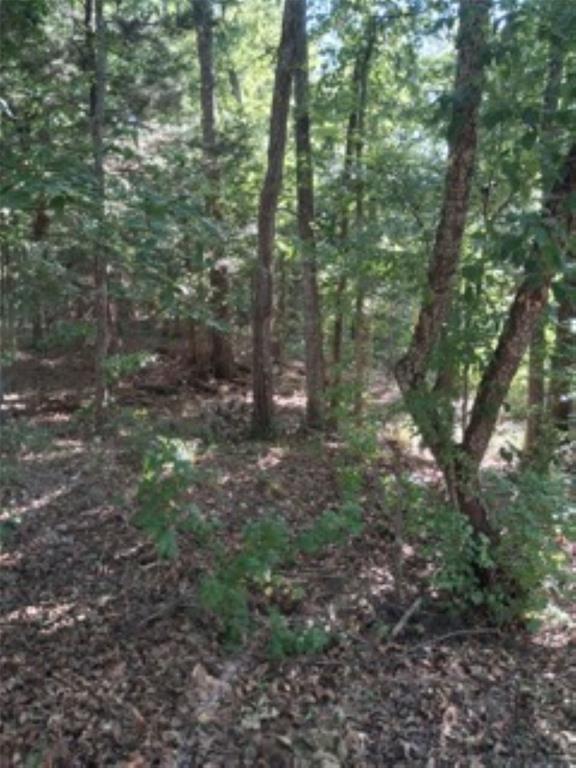 Tbd Summit Ridge Murchison, TX 75778 - Photo 1 of 16 View of the .28 acre lot
