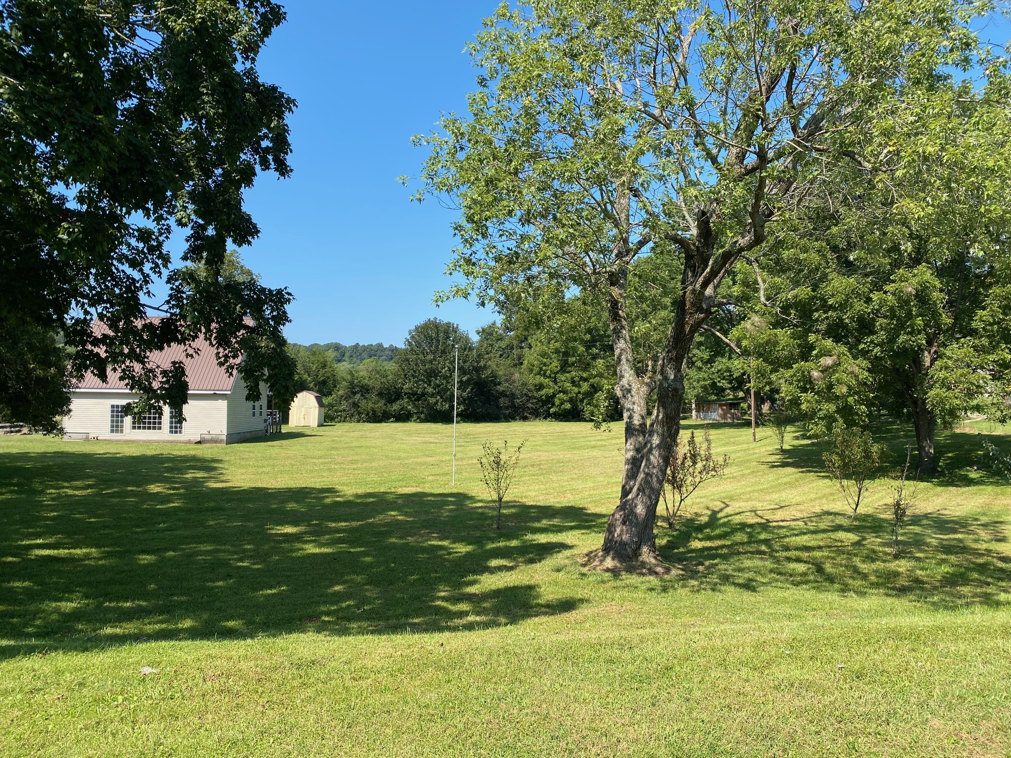 555 Shorts Road Pulaski, TN 38478 - Photo 8 of 19 a view of a trees in a yard