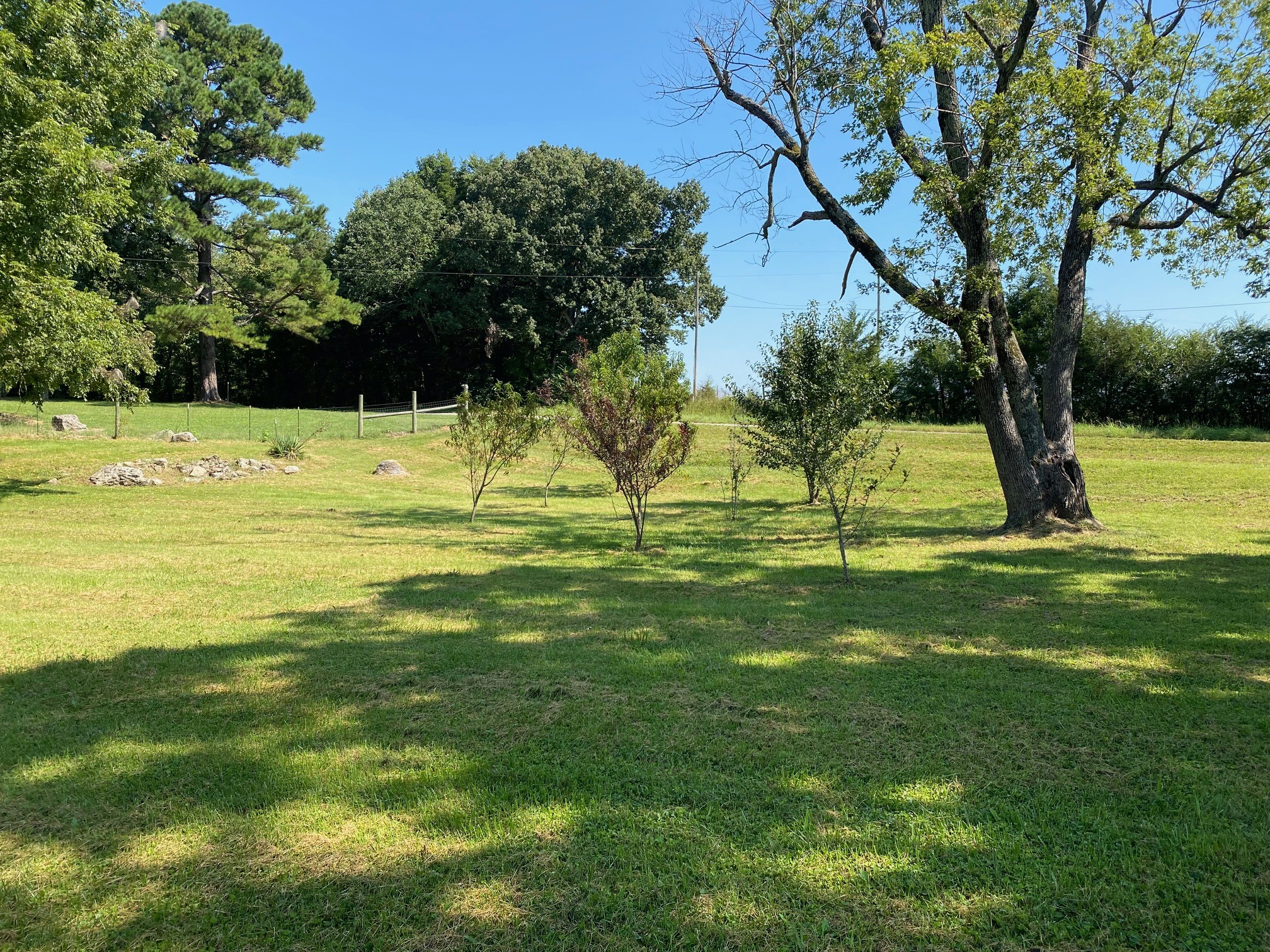 555 Shorts Road Pulaski, TN 38478 - Photo 9 of 19 a view of yard with swimming pool and green space