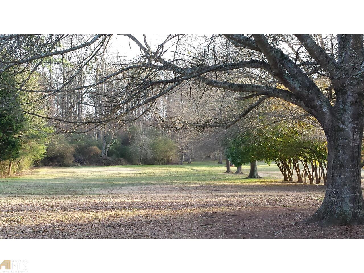 340 Birdie Road Griffin, GA 30223 - Photo 1 of 1 Gallery Image 1