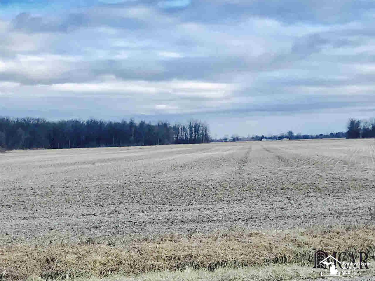 0 West Albain Road Monroe, MI 48161 - Photo 2 of 2