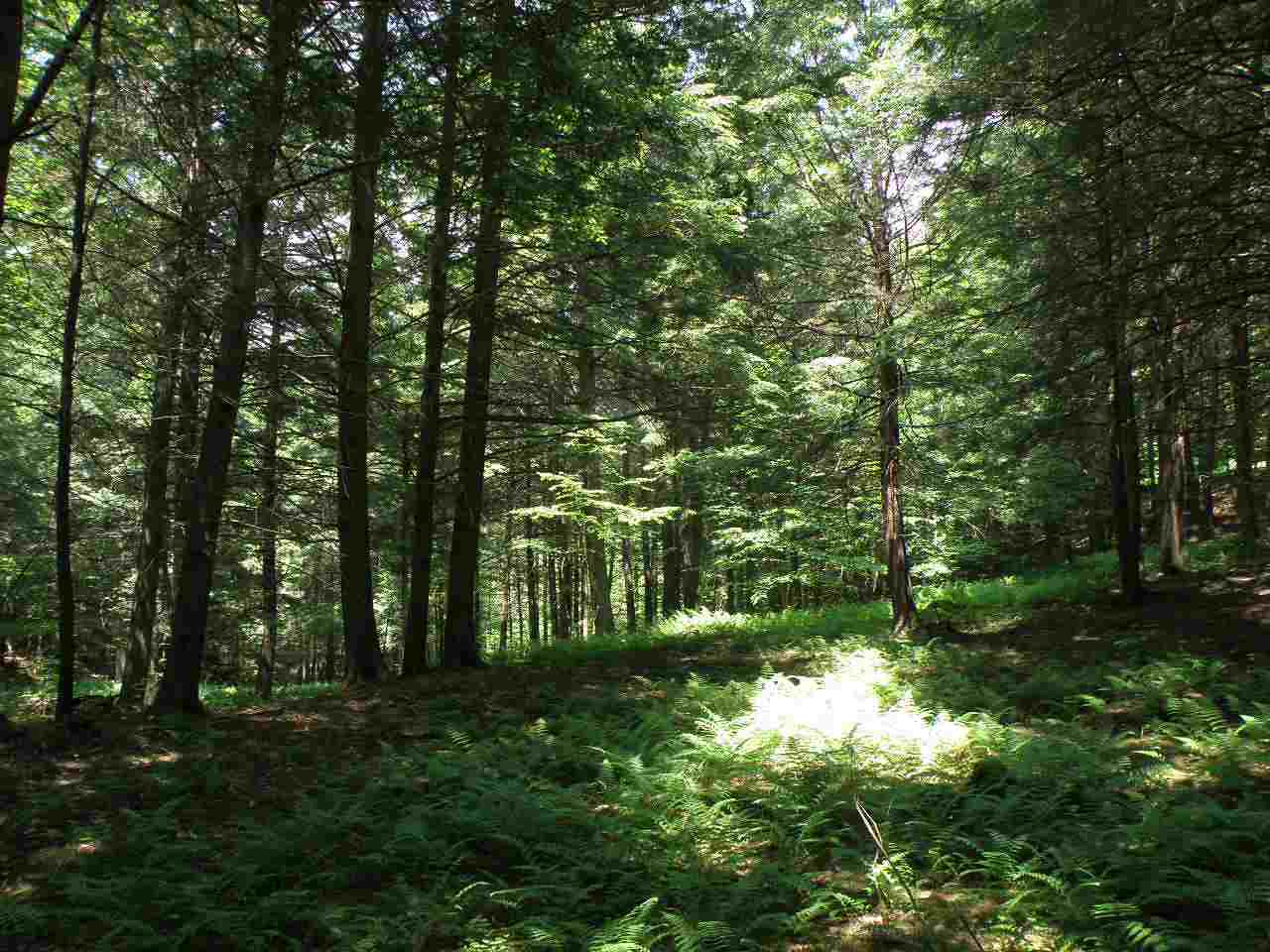 0 Stevens Road Fairlee, VT 05045 - Photo 4 of 8