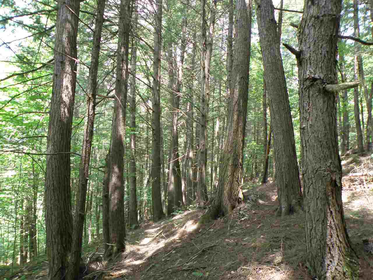 0 Stevens Road Fairlee, VT 05045 - Photo 5 of 8