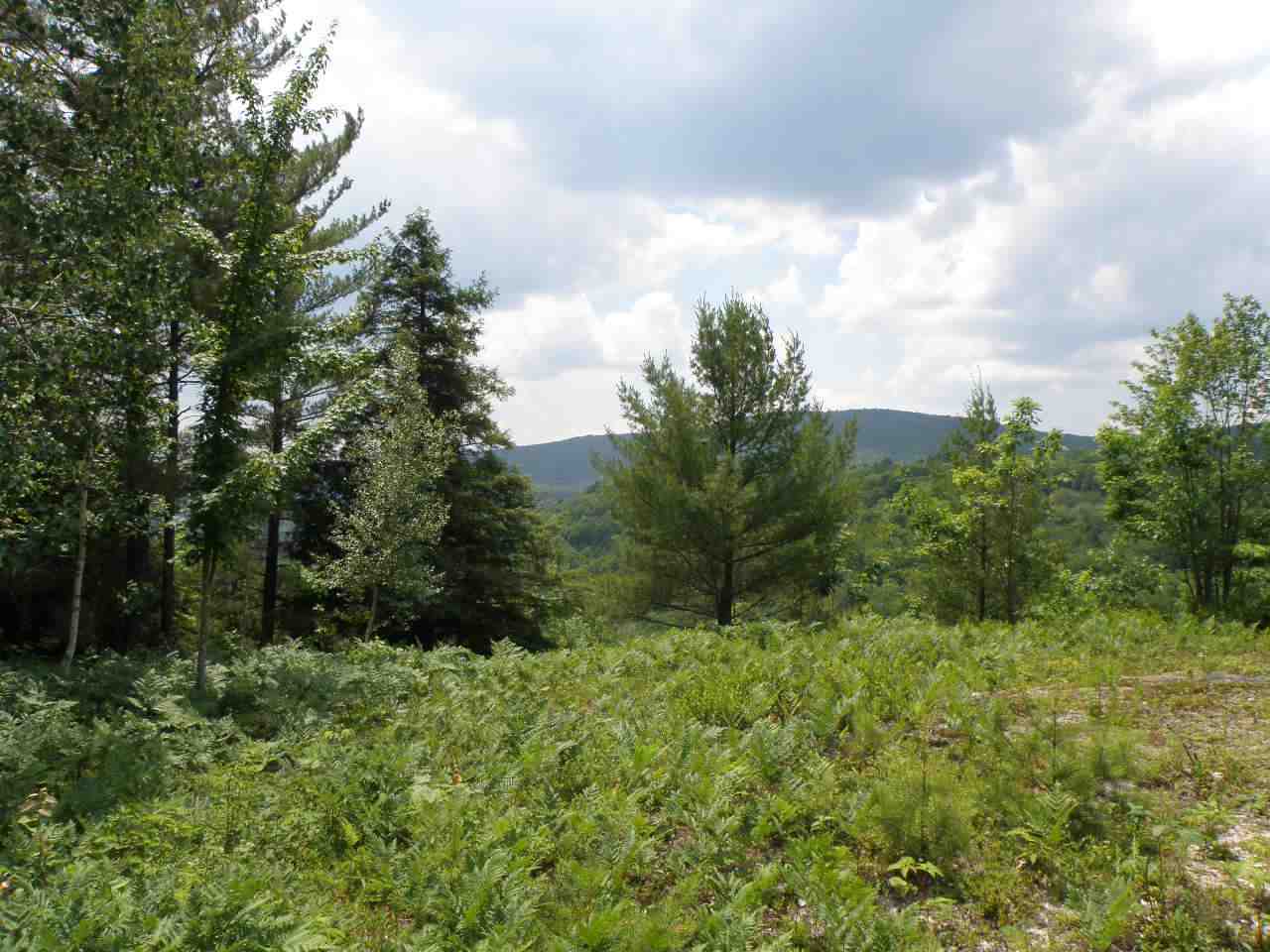 0 Stevens Road Fairlee, VT 05045 - Photo 7 of 8