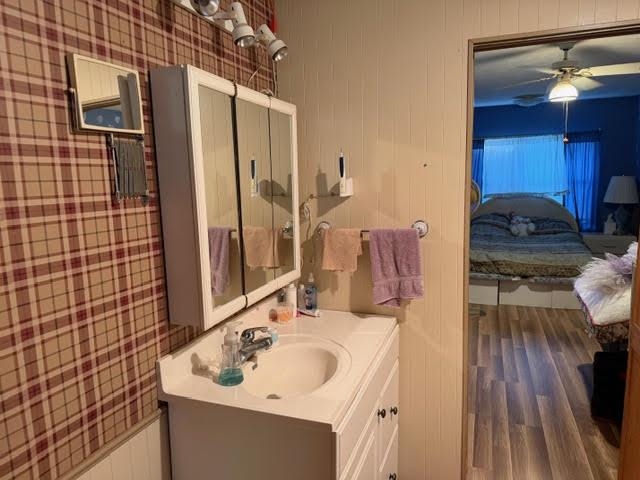 235 Connell Road Vidor, TX 77662 - Photo 12 of 35 a bathroom with a sink and a mirror