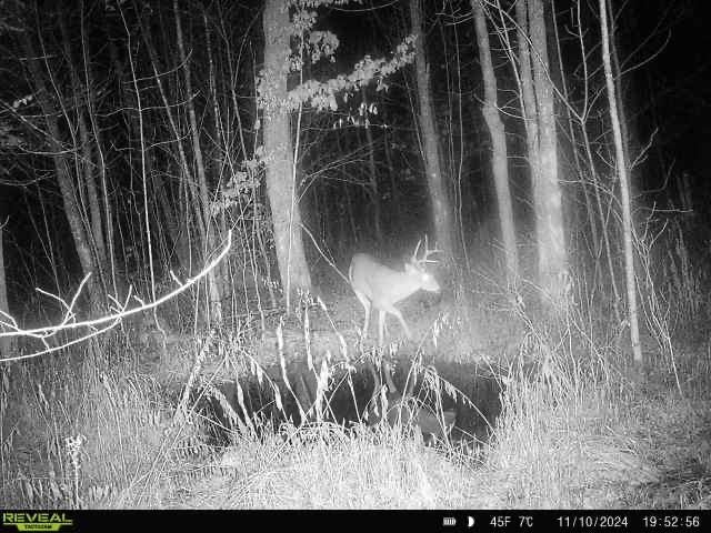 240701 Sawmill Road Wausau, WI 54403 - Photo 18 of 22 Gallery Image 18