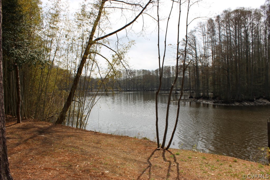 8408 Hicks Island Road Lanexa, VA 23089 - Photo 13 of 13 Gallery Image 13