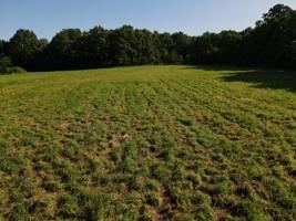 0 South 47th Road Bolivar, MO 65613 - Photo 3 of 12