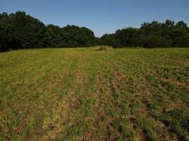 0 South 47th Road Bolivar, MO 65613 - Photo 4 of 12