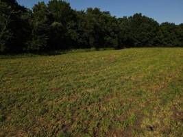 0 South 47th Road Bolivar, MO 65613 - Photo 5 of 12