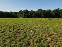 0 South 47th Road Bolivar, MO 65613 - Photo 6 of 12