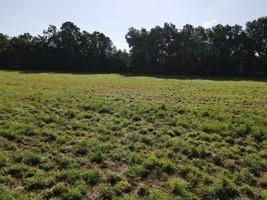 0 South 47th Road Bolivar, MO 65613 - Photo 7 of 12