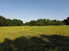 $95,000 | 0 South 47th Road, Bolivar, MO 65613