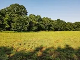 $95,000 | 0 South 47th Road, Bolivar, MO 65613