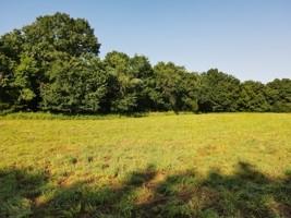 0 South 47th Road Bolivar, MO 65613 - Photo 9 of 12