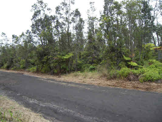 43 Kaleponi Road Mountain View, HI 96771 - Photo 2 of 10 a view of a dirt road with trees in the background