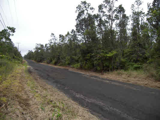 43 Kaleponi Road Mountain View, HI 96771 - Photo 3 of 10 a view of a rural road with plants and trees