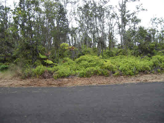 43 Kaleponi Road Mountain View, HI 96771 - Photo 4 of 10 a view of a road with plants and trees in the background