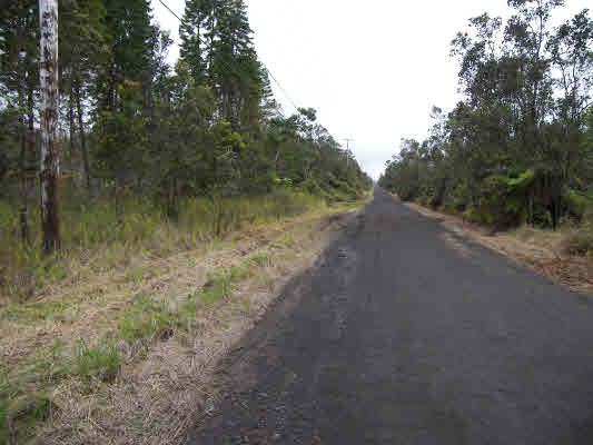 43 Kaleponi Road Mountain View, HI 96771 - Photo 5 of 10 a view of a dirt road with trees in the background