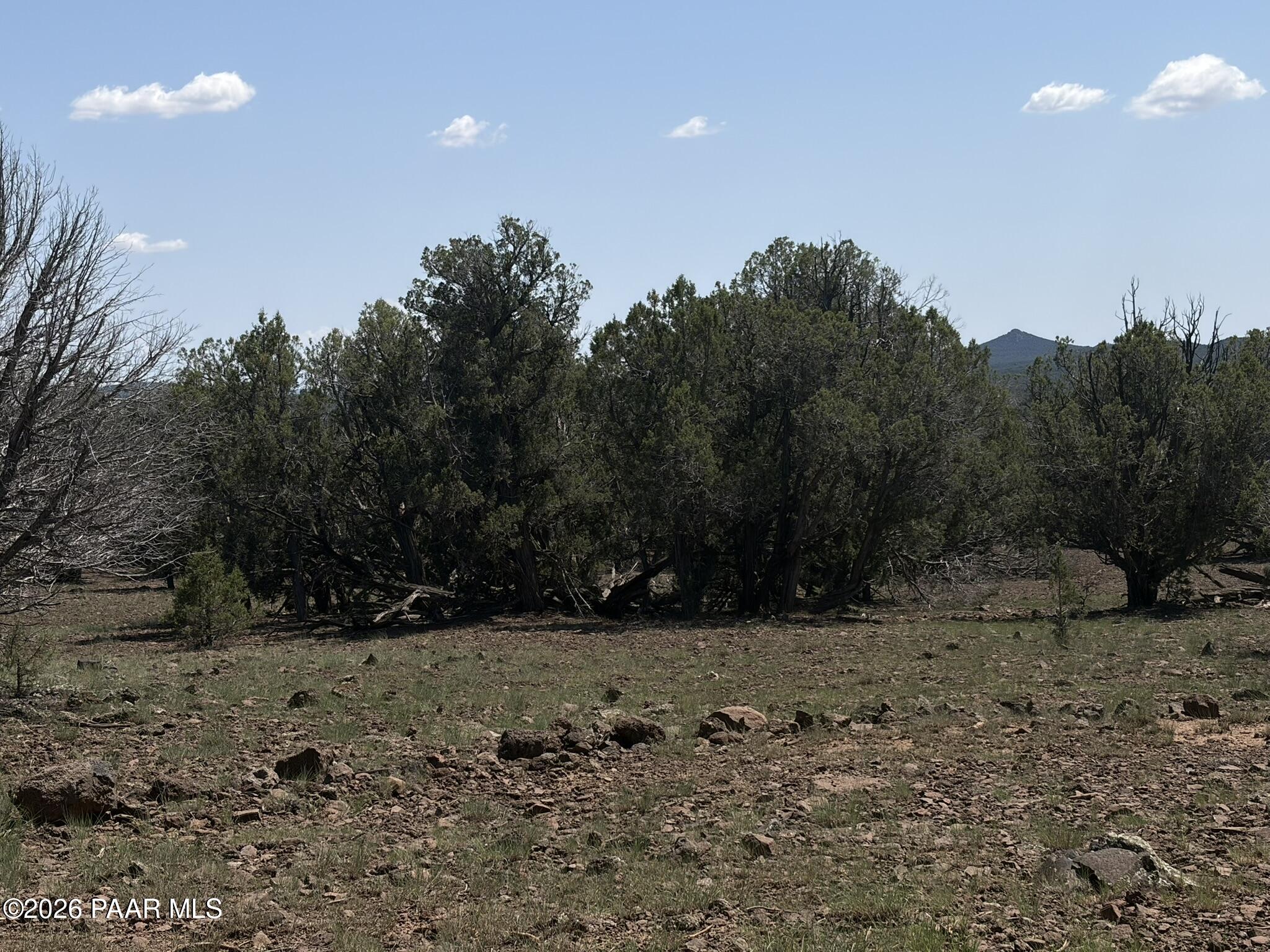Nine Northwest Shooter Road Williams, AZ 86046 - Photo 19 of 20 IMG_1728