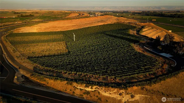 a view of outdoor space