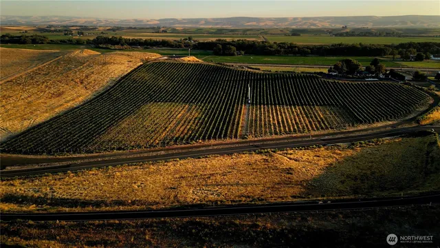 a view of swimming pool from a balcony