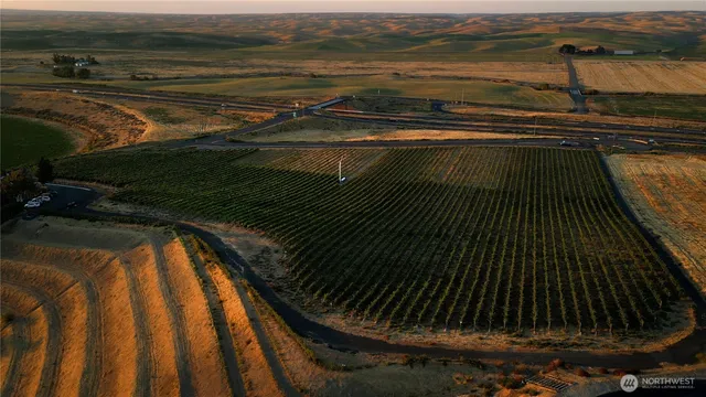 a view of an ocean and beach