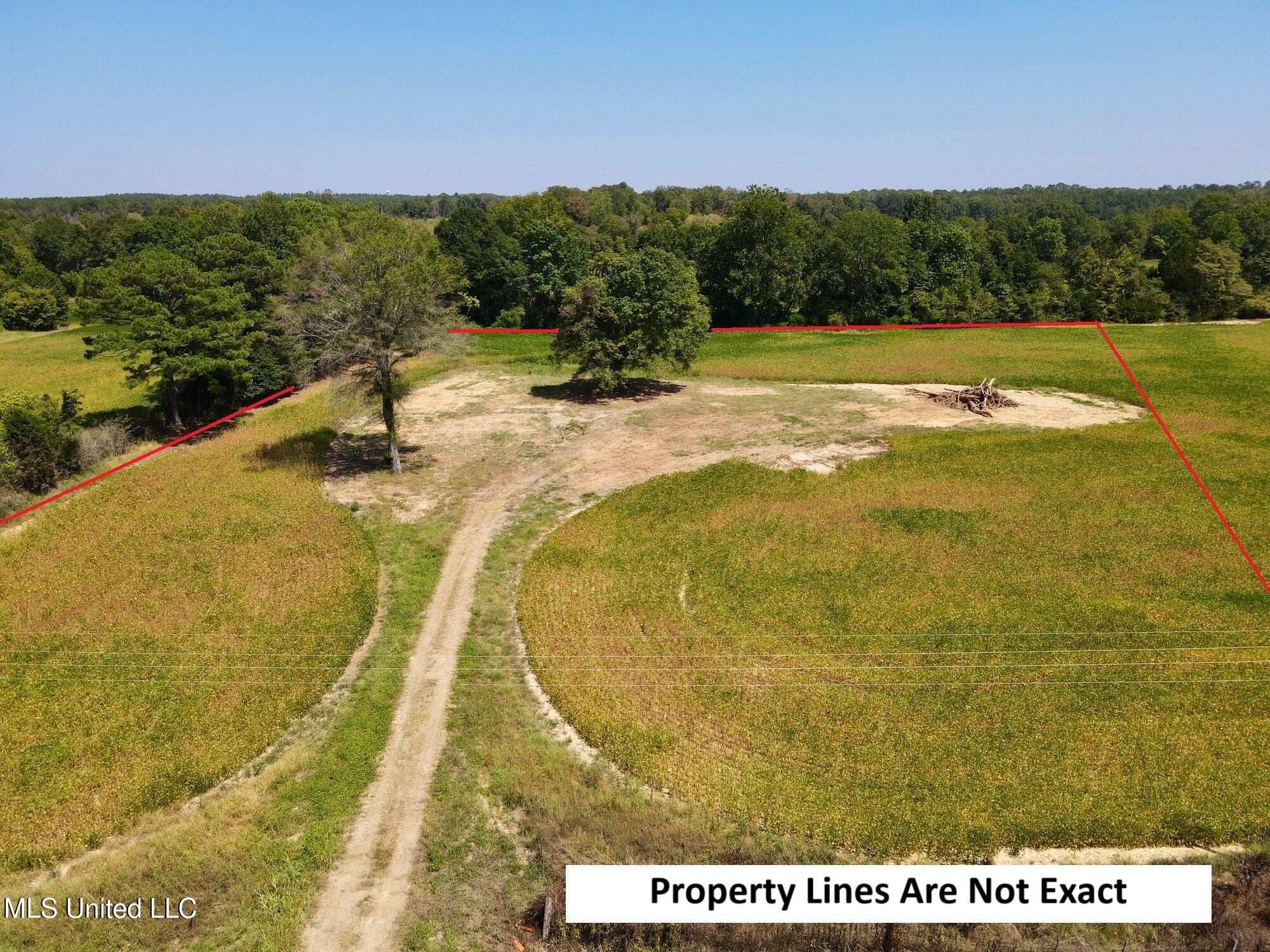 Tbd Tbd Ms-331 Bruce, MS 38915 - Photo 1 of 7 7