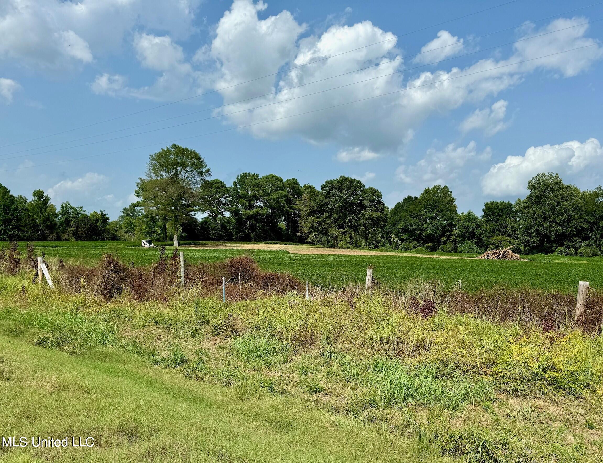 Tbd Tbd Ms-331 Bruce, MS 38915 - Photo 3 of 7 1