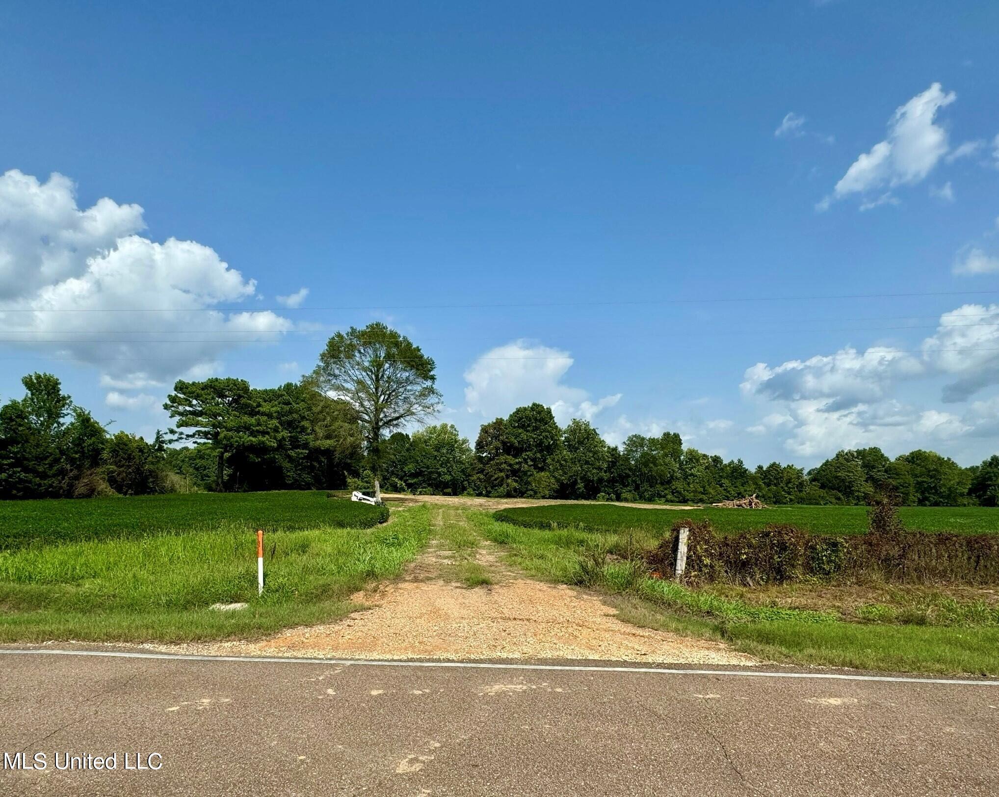 Tbd Tbd Ms-331 Bruce, MS 38915 - Photo 4 of 7 3