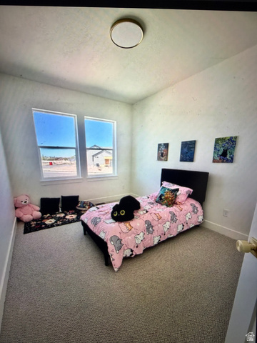 952 East Shilow Road, Unit 131 Erda, UT 84074 - Photo 8 of 12 Carpeted room featuring two prominent windows, a ceiling-mounted light fixture, and white baseboards