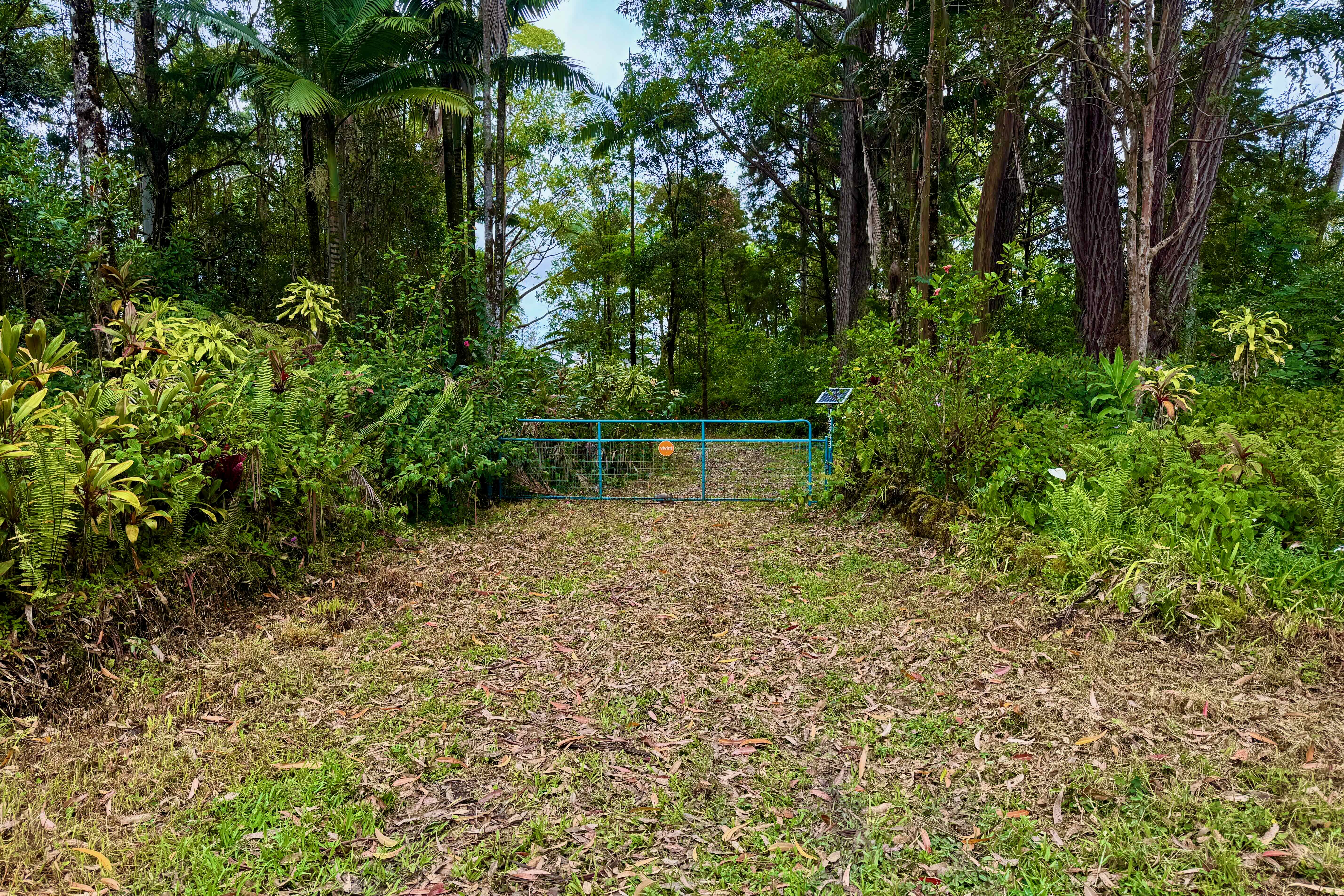 16-2065 Uhini Ana Rd Mountain View Mountain View, HI 96771 - Photo 3 of 28 Gallery Image 3