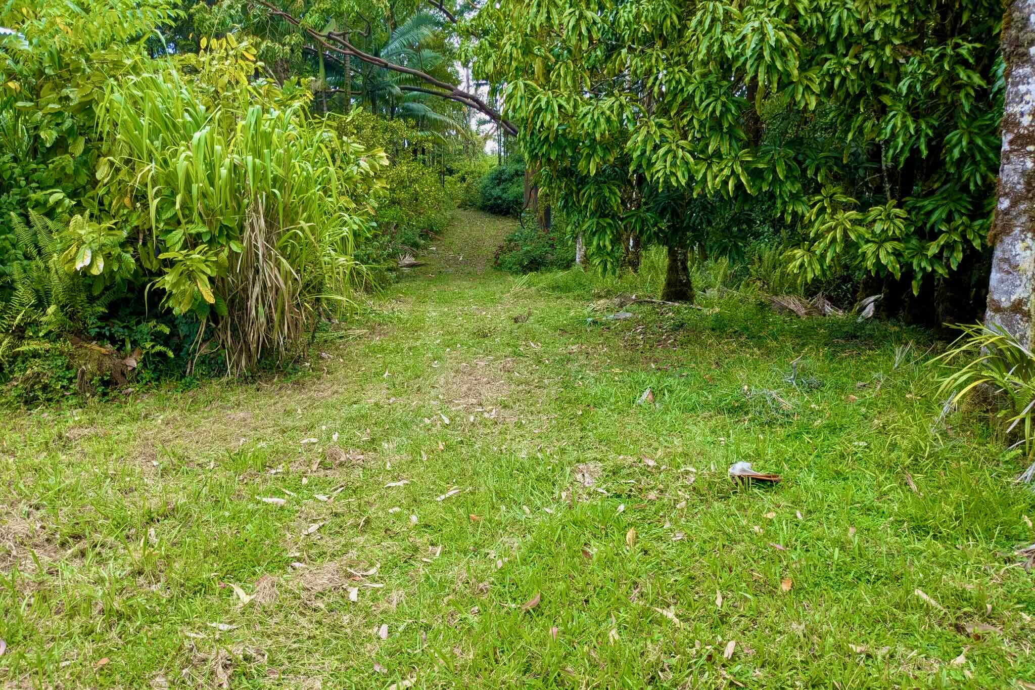 16-2065 Uhini Ana Rd Mountain View Mountain View, HI 96771 - Photo 5 of 28 Gallery Image 5