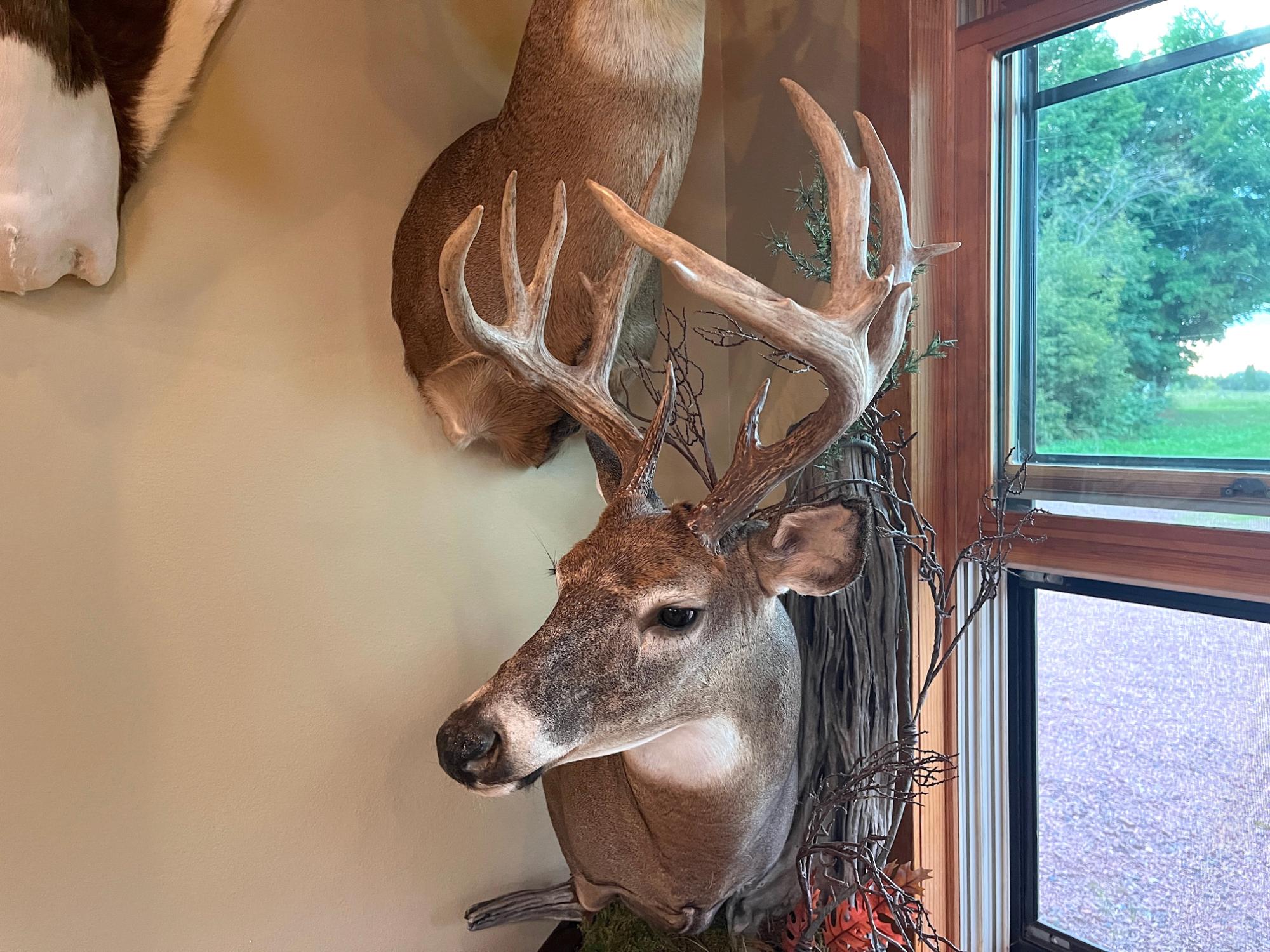 60240 Stuart Road Mason, WI 54856 - Photo 22 of 99 Gallery Image 22