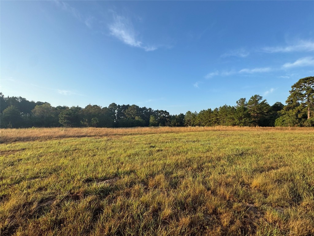24778 Glass Road Hockley, TX 77447 - Photo 6 of 10 View of wooded area featuring a view of countryside