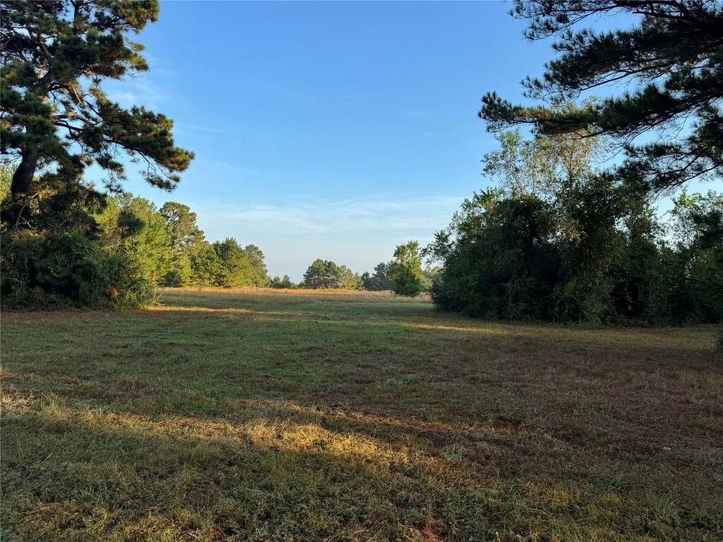 24778 Glass Road Hockley, TX 77447 - Photo 8 of 10 View of woods with a view of countryside