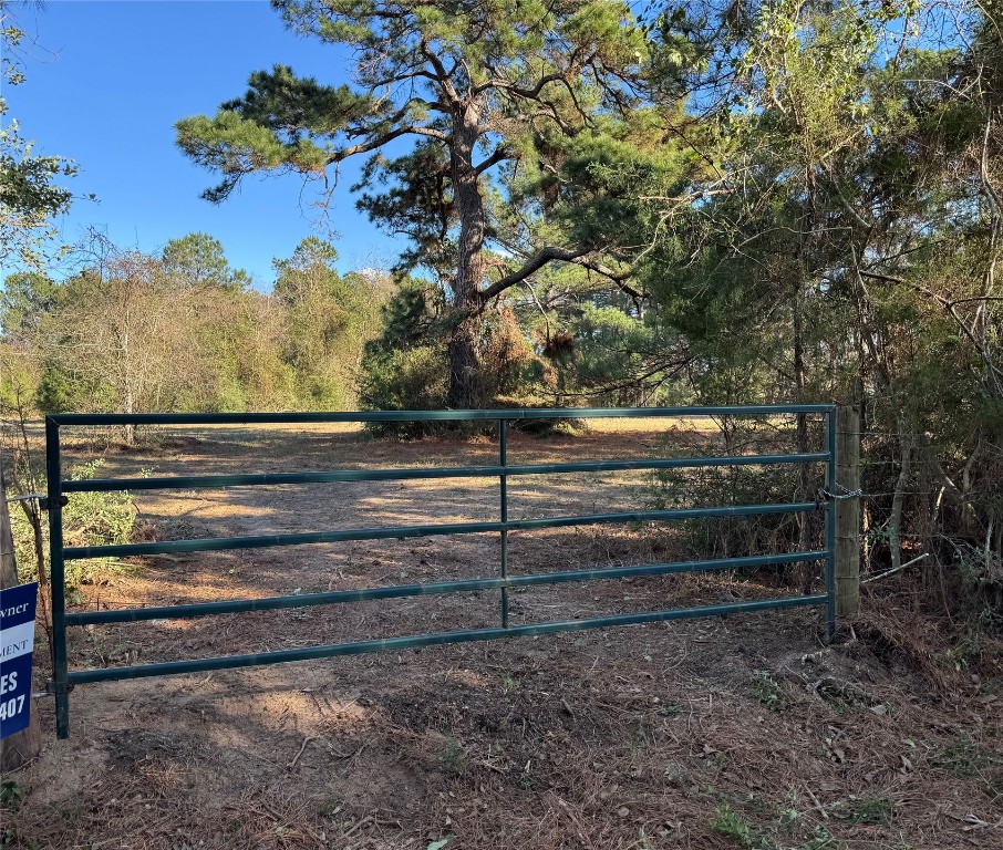 24778 Glass Road Hockley, TX 77447 - Photo 10 of 10 View of gate