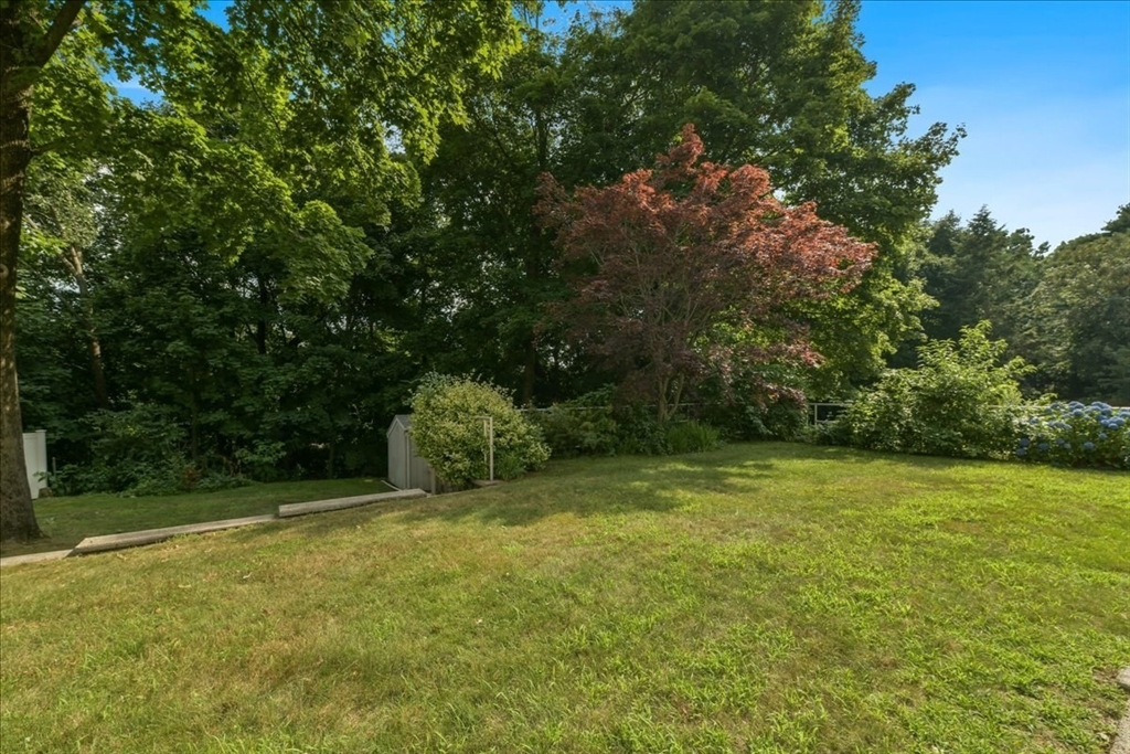 102 Border Street Dedham, MA 02026 - Photo 8 of 34 a view of outdoor space with deck and yard