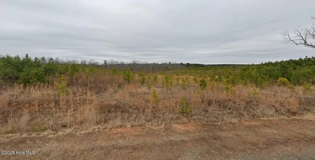 $155,000 | 0 Burchette Road, Manson, NC 27553