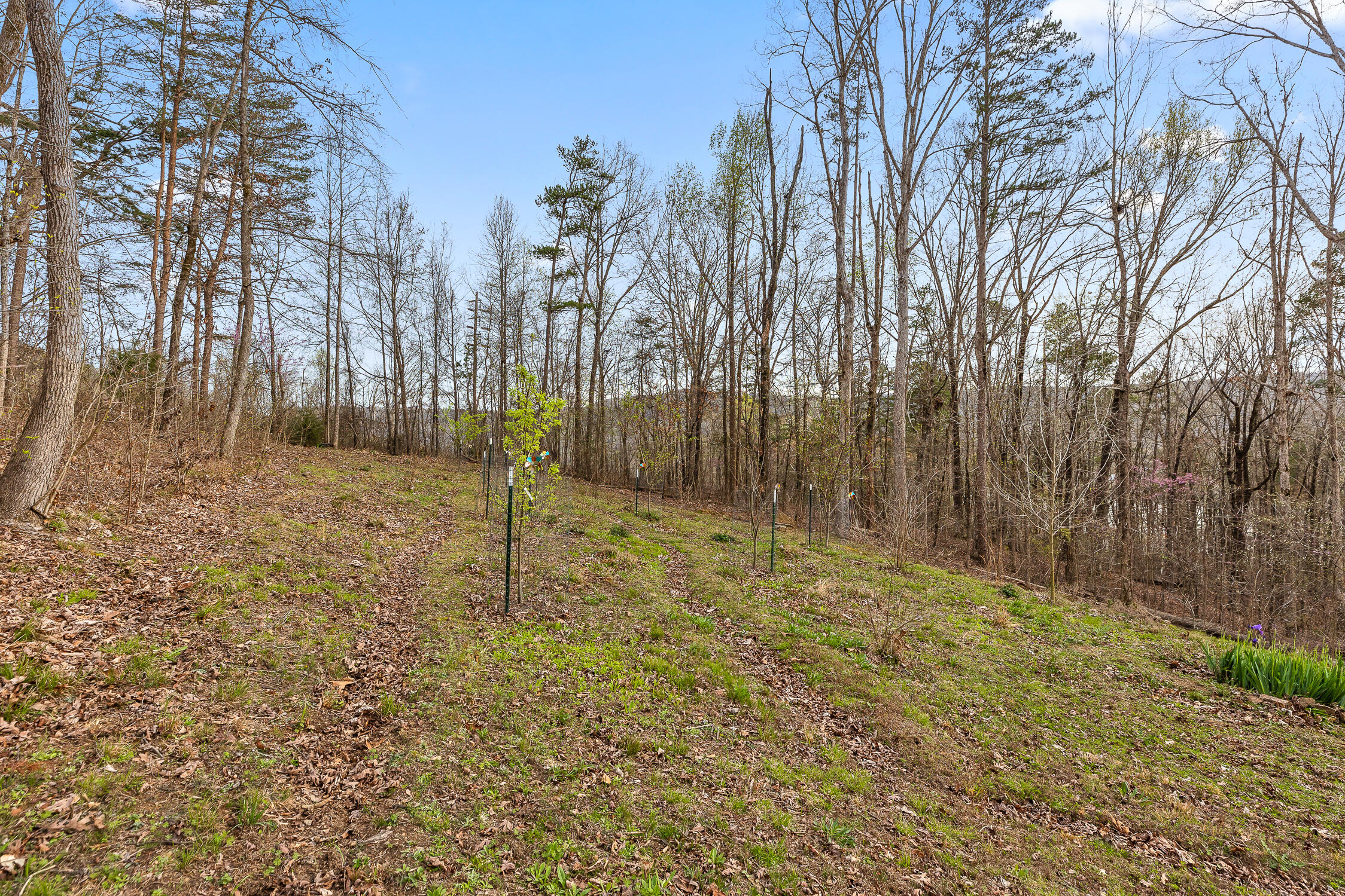 400 Myers Avenue Guild, TN 37340 - Photo 54 of 72 Myers-6