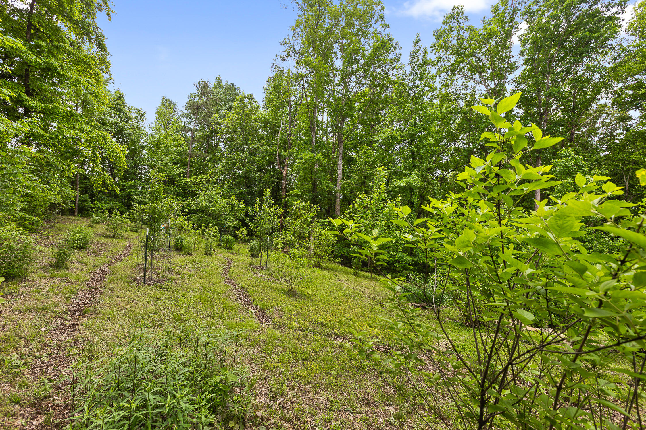 400 Myers Avenue Guild, TN 37340 - Photo 63 of 72 Myers-17