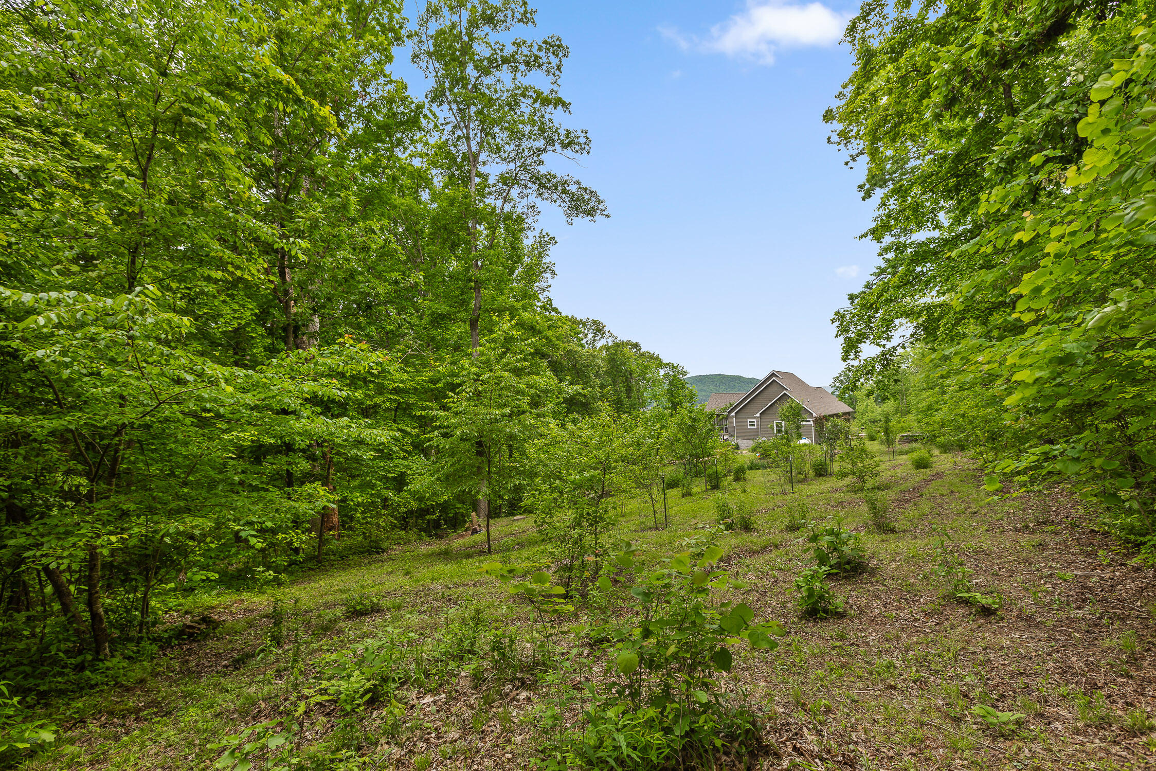 400 Myers Avenue Guild, TN 37340 - Photo 64 of 72 Myers-18