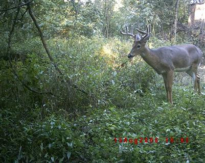 5 Timber Creek Road Lawrenceburg, KY 40342 - Photo 19 of 22 Photo 22