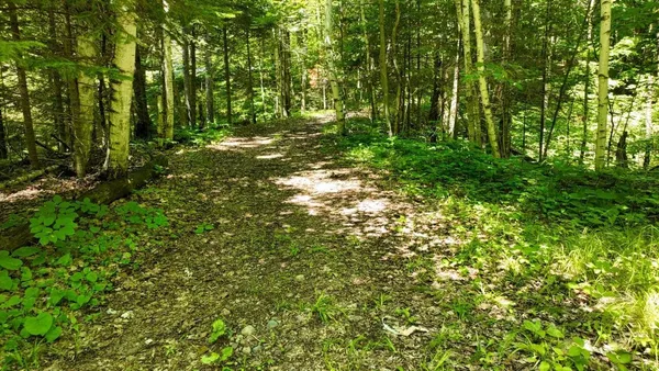 $325,000 | N8381 Birch Hill Road, Phillips, WI 54555