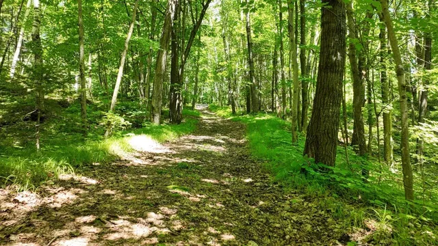 $335,000 | N8381 Birch Hill Road, Phillips, WI 54555