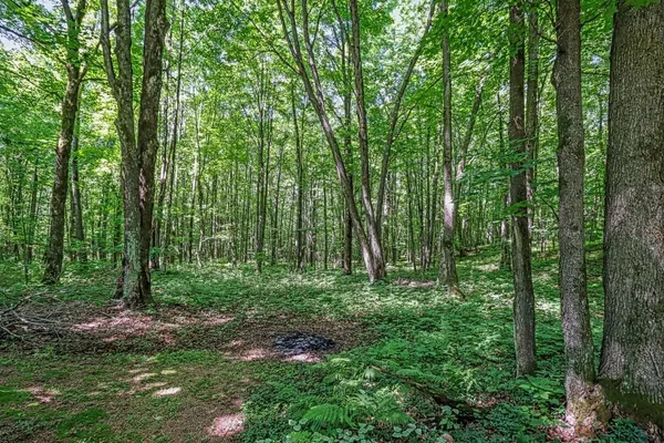 $325,000 | N8381 Birch Hill Road, Phillips, WI 54555